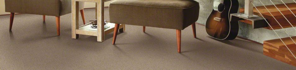 carpet in a flash 00731